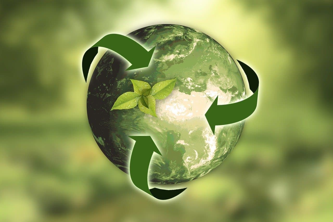 CreditNature lança ‘Margem Verde’ para financiar natureza