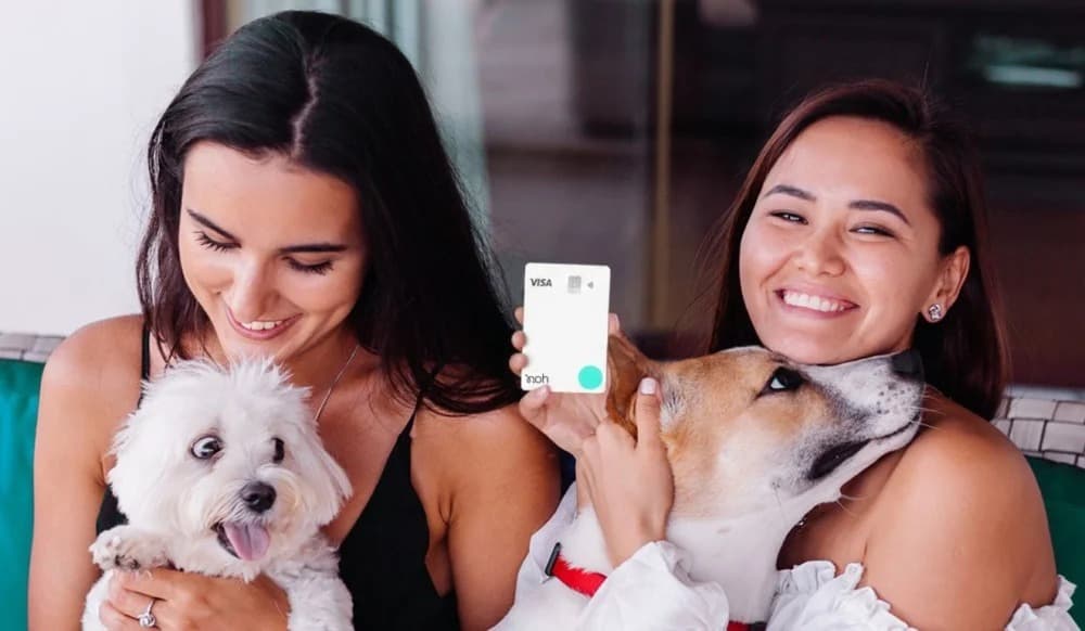 Noh fecha parceria com Dog Life e zera mensalidade de R$24